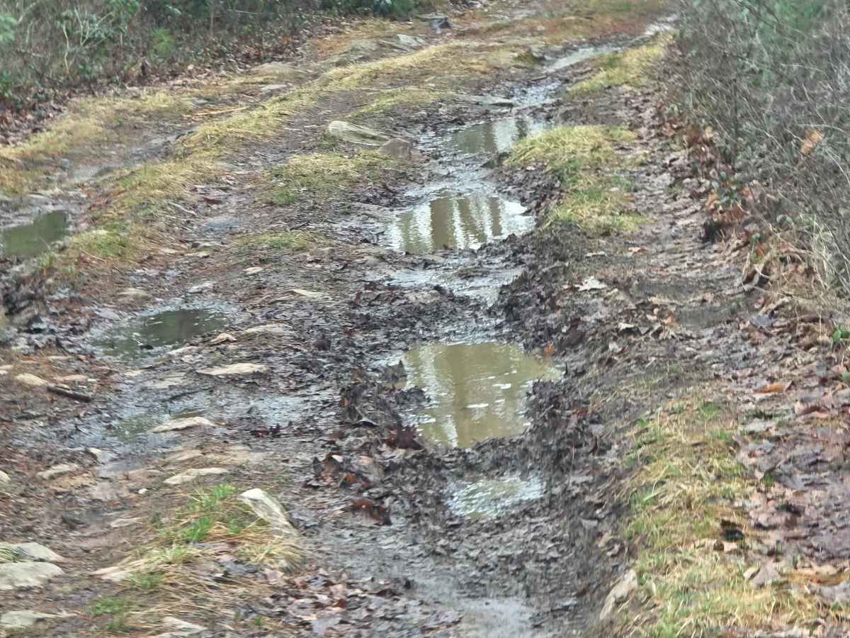 Red Tongue Trail photo 5