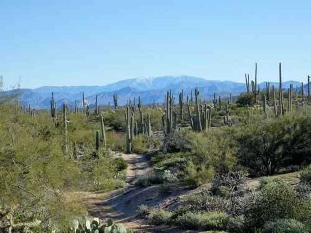South of Gila River photo 4