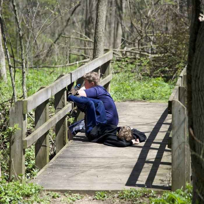 Near Heron Rookery Trail