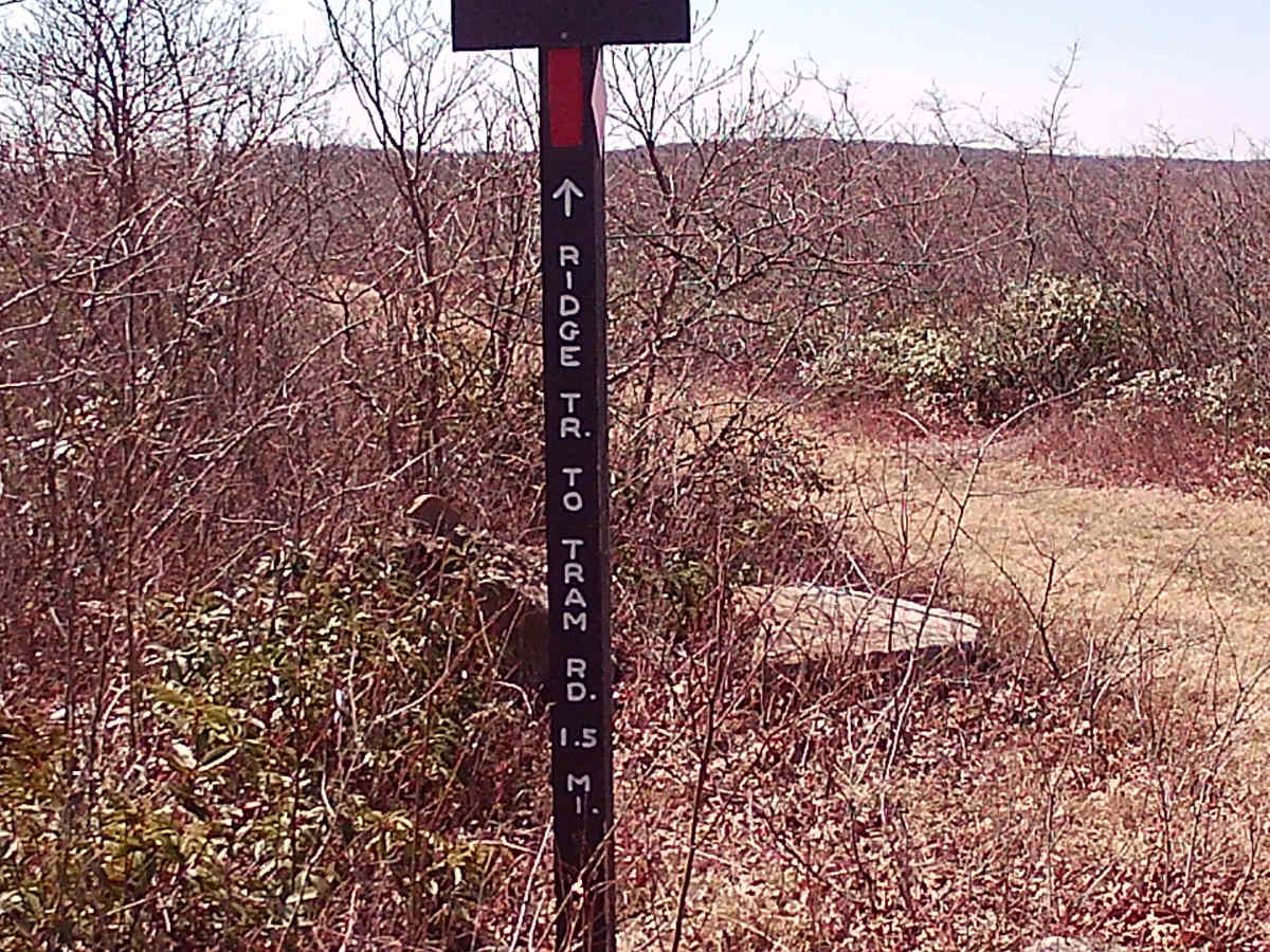 Rock Run Lane photo 6