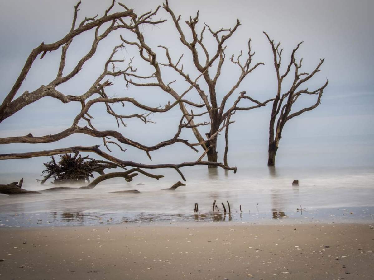Botany Bay Plantation photo 5