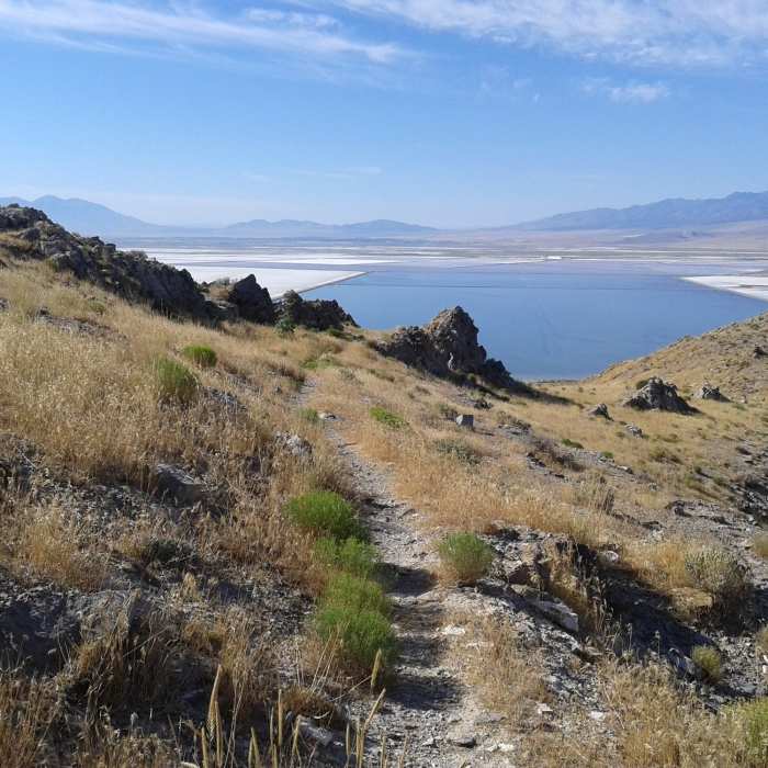 Near Stansbury Island Trail