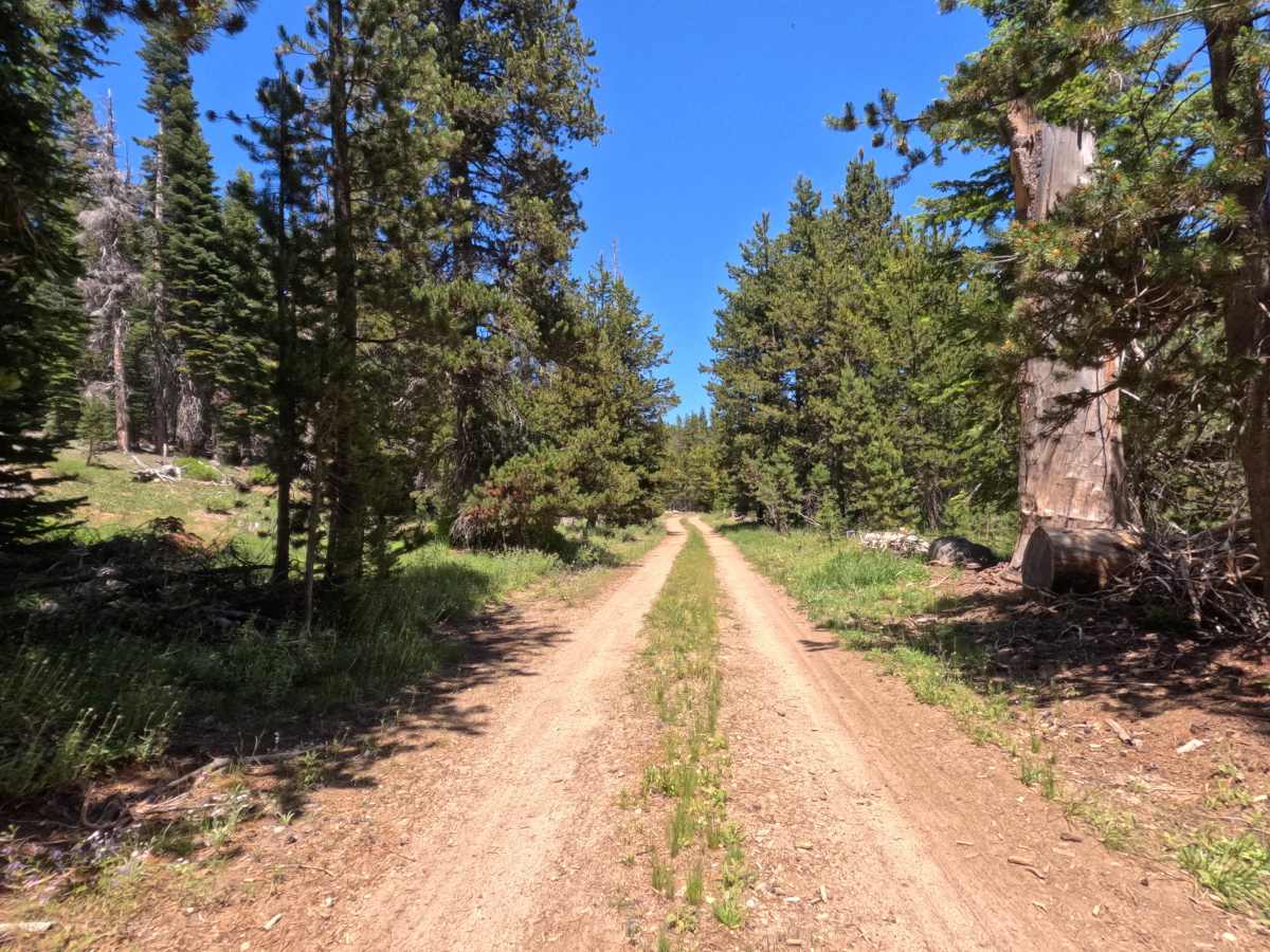 South Sucker Road - FS 11N26E photo 5