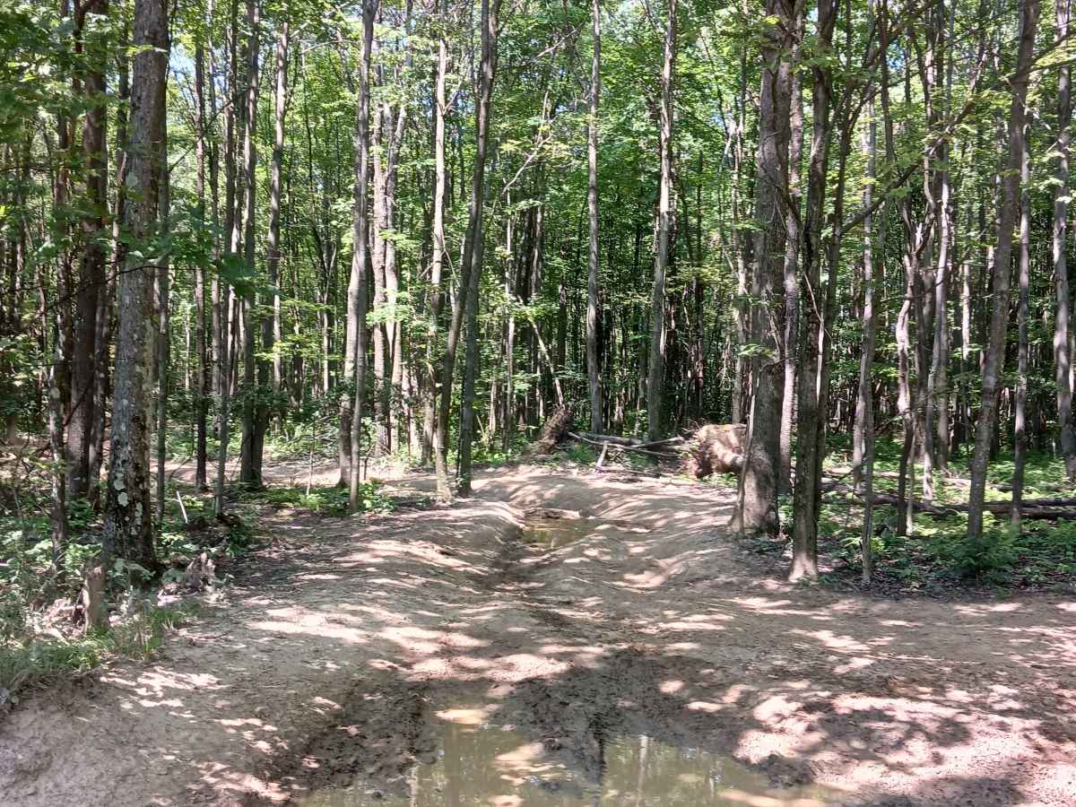 Skunk Loop - Rock Run Recreation Area photo 2