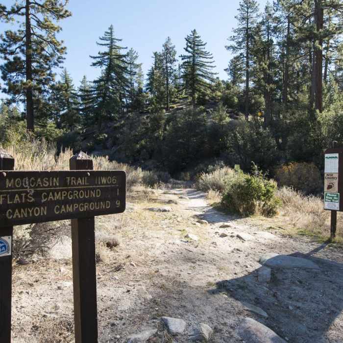 Near Silver Moccasin Trail Hike via Upper Chilao Trailhead