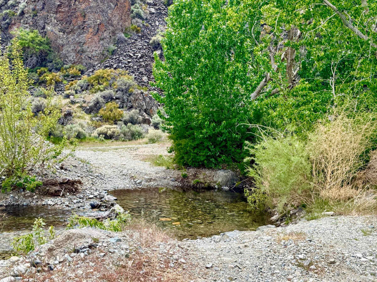 South Twin River - FS 44080 photo 2