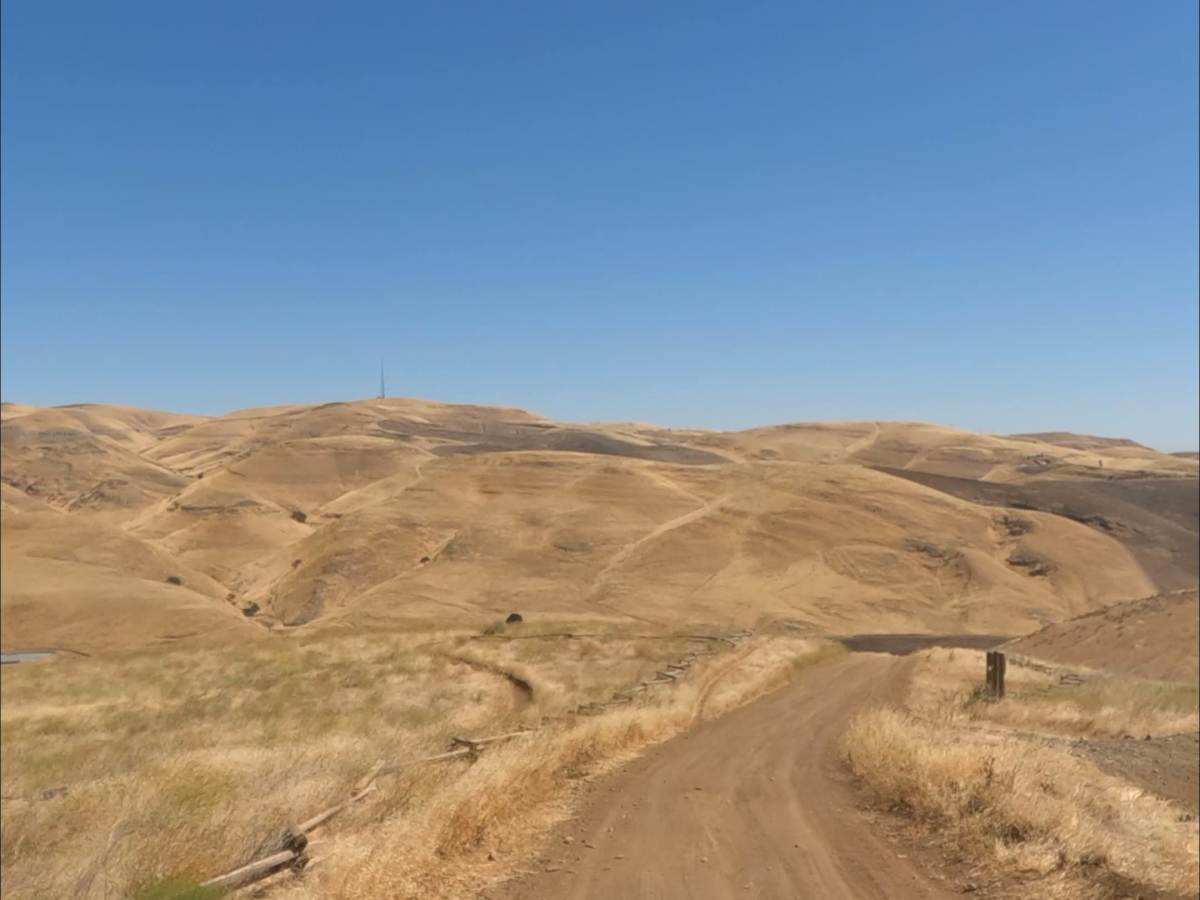 Los Osos Trail trail photo