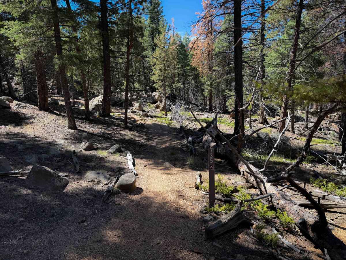 Trail 735 photo 2