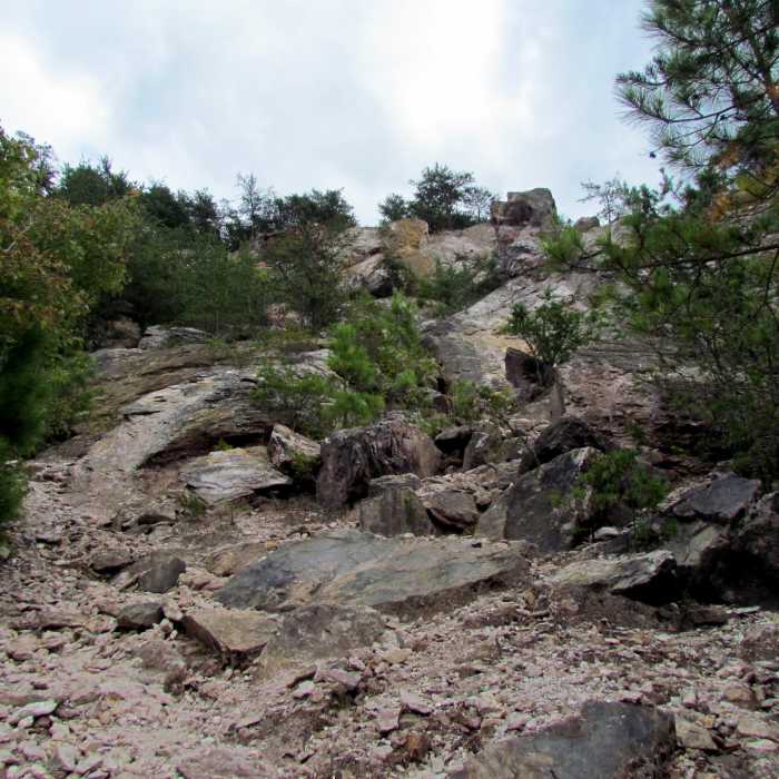 Near Chestnut Oak Trail