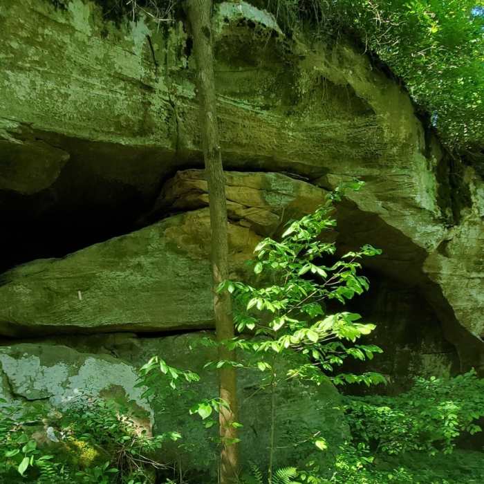 Near German Ridge Trail: Campground/Lake Connector