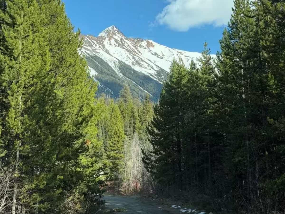 Kingdom Lake trail photo