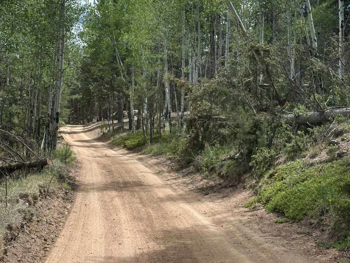 Original Road photo 2