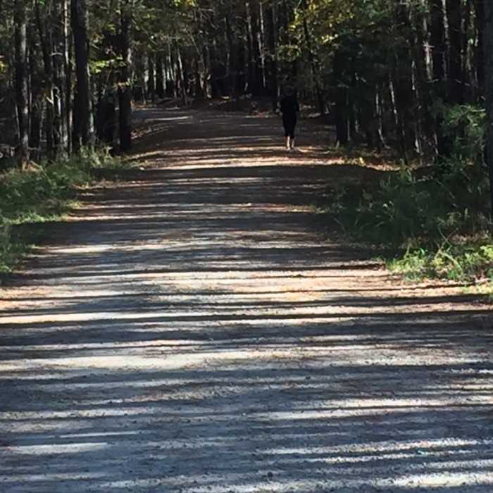 Near Neverland's Inner Loop