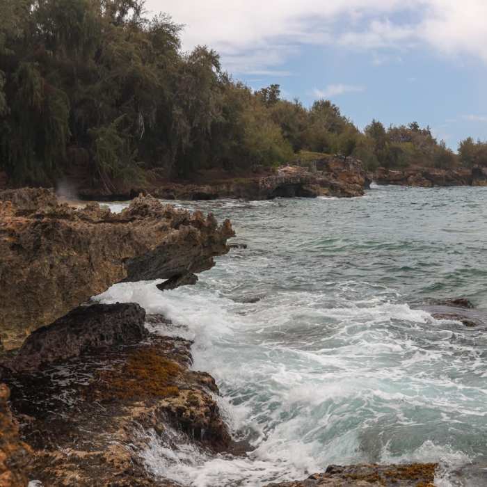 Near Maha`ulepu Heritage Trail Near Maha`ulepu Heritage Trail