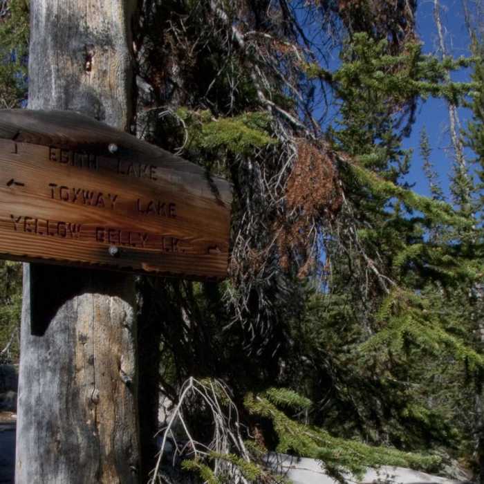 Near Edith Lake and Sand Mountain Divide