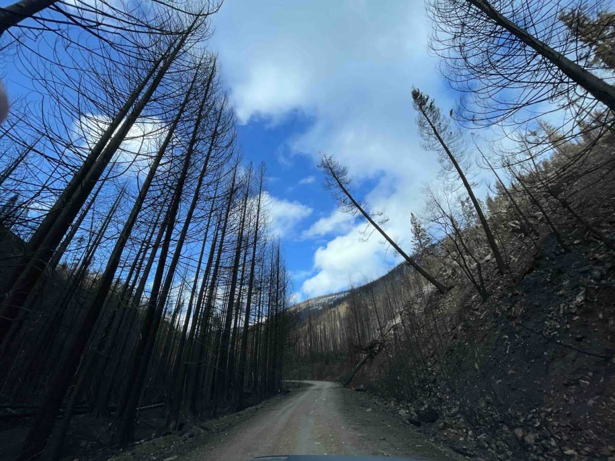 Long Route to Bouleau Lake photo 5
