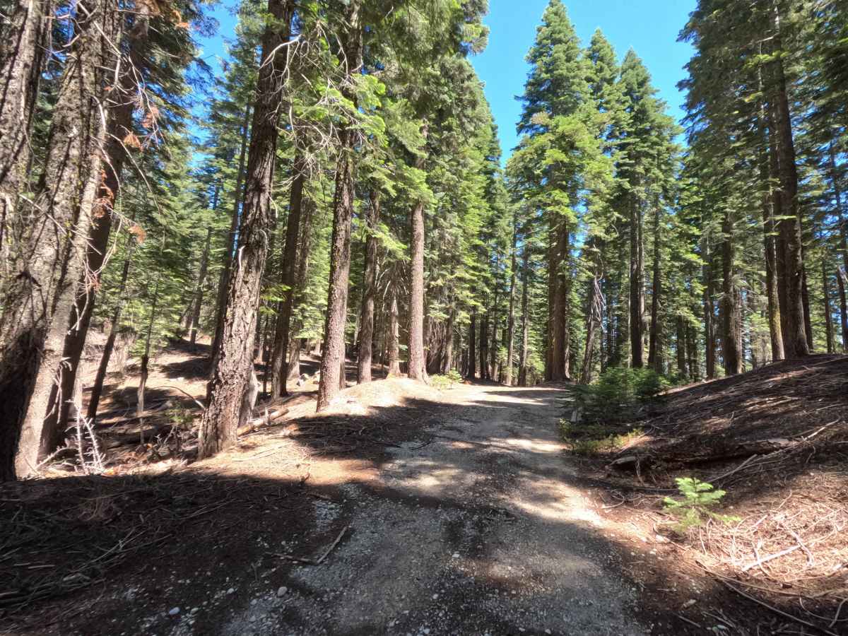 Fir Cap Trail - South Segment - FS 10E22 photo 3