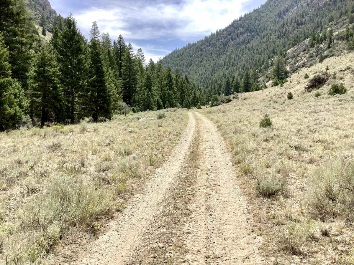 Van Dorn Cutoff photo 4