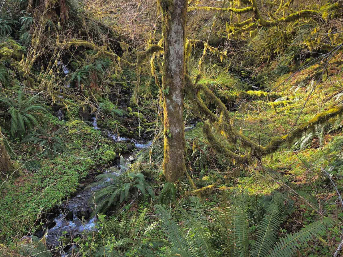 Hoag Pass Road photo 4