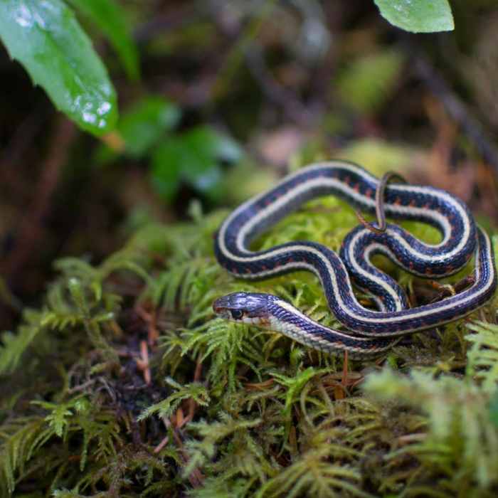 Near Riverside Trail Hike
