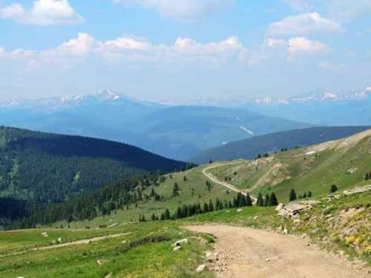 Ptarmigan Pass trail photo