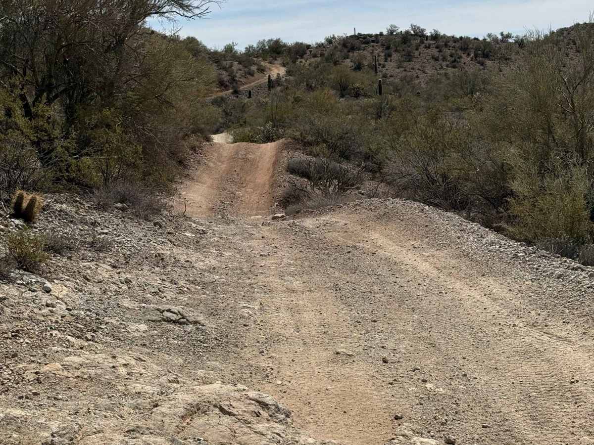 Old Stage Road photo 4