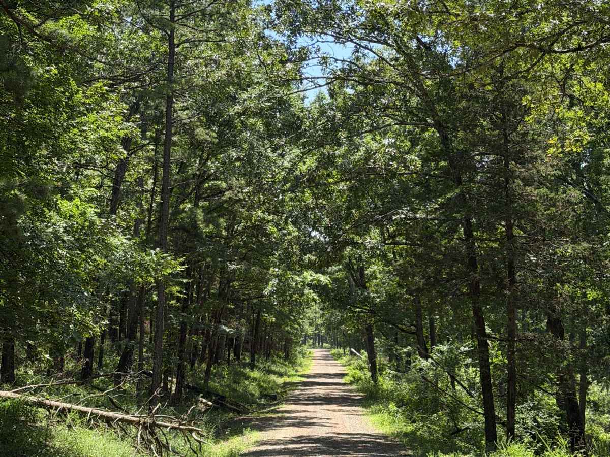 West Fork Scenic Drive photo 2
