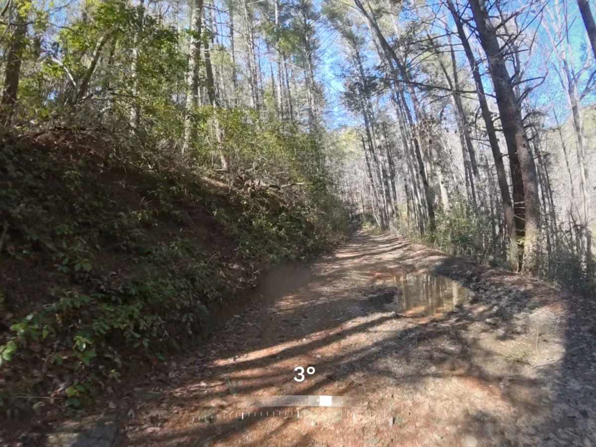 Raper Creek Road - FS 376 photo 2