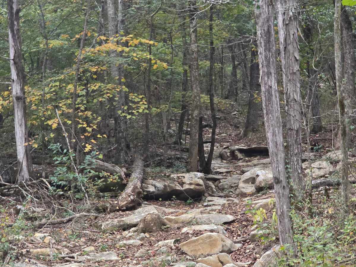 Buggy Buster trail photo