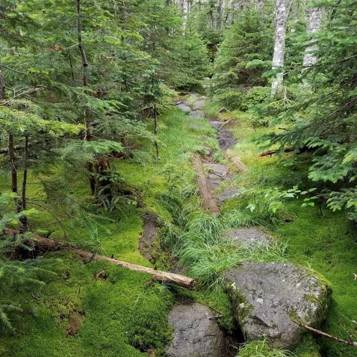 Near Madison Gulf Trail