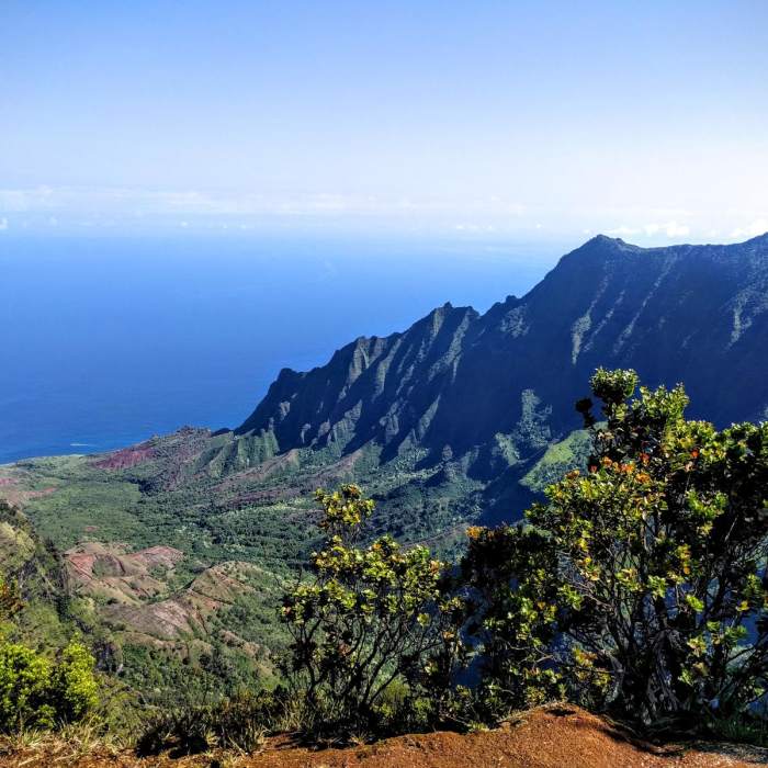 Near Pihea to Kilohana Out and Back Near Pihea to Kilohana Out and Back