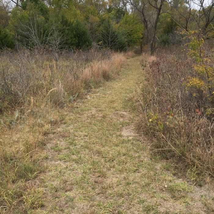 Near Rolling Hills Trail