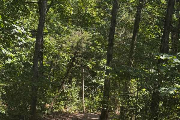 Short Cut to Trail Map