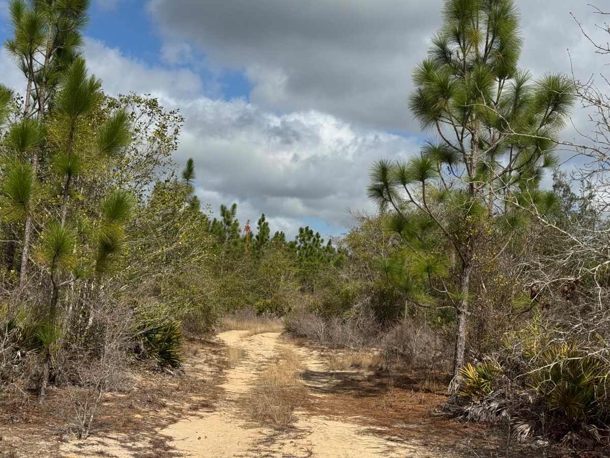 Hunting Road photo 3
