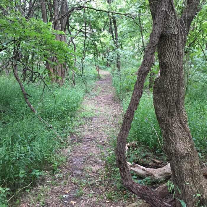 Near Hike and Bike Trail