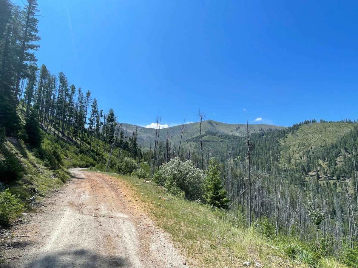 Medicine Point Trailhead photo 2