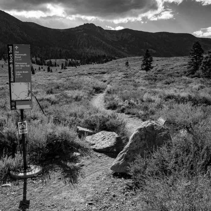 Near Mammoth Rock Trail
