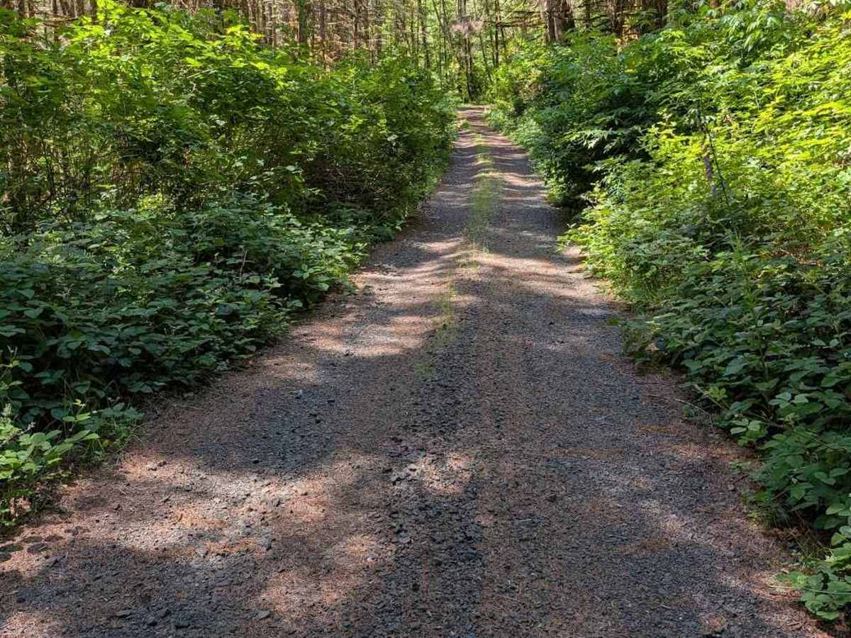 Grass Creek Rd - FS 3430 trail photo