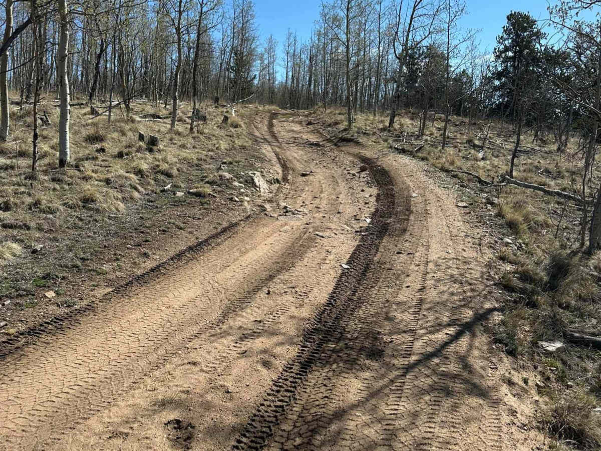 Rock Road photo 4