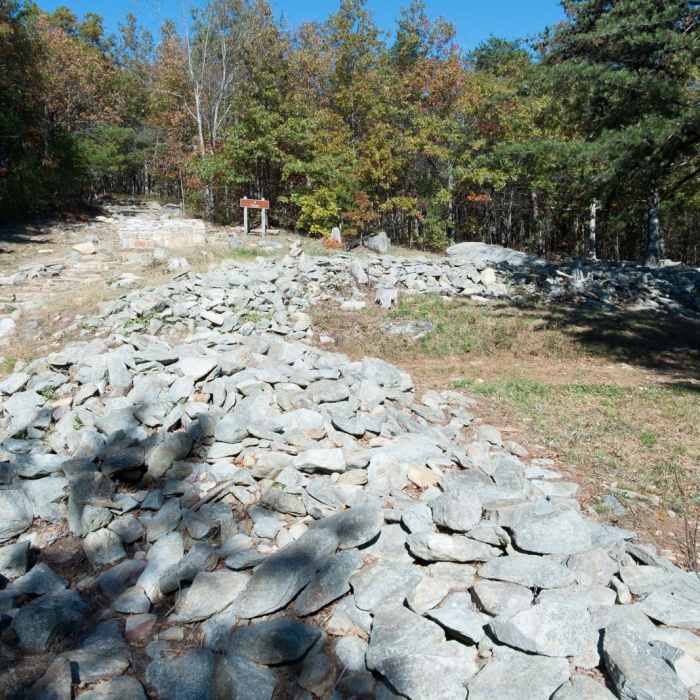Near Stone Tower + West Overlook Trails