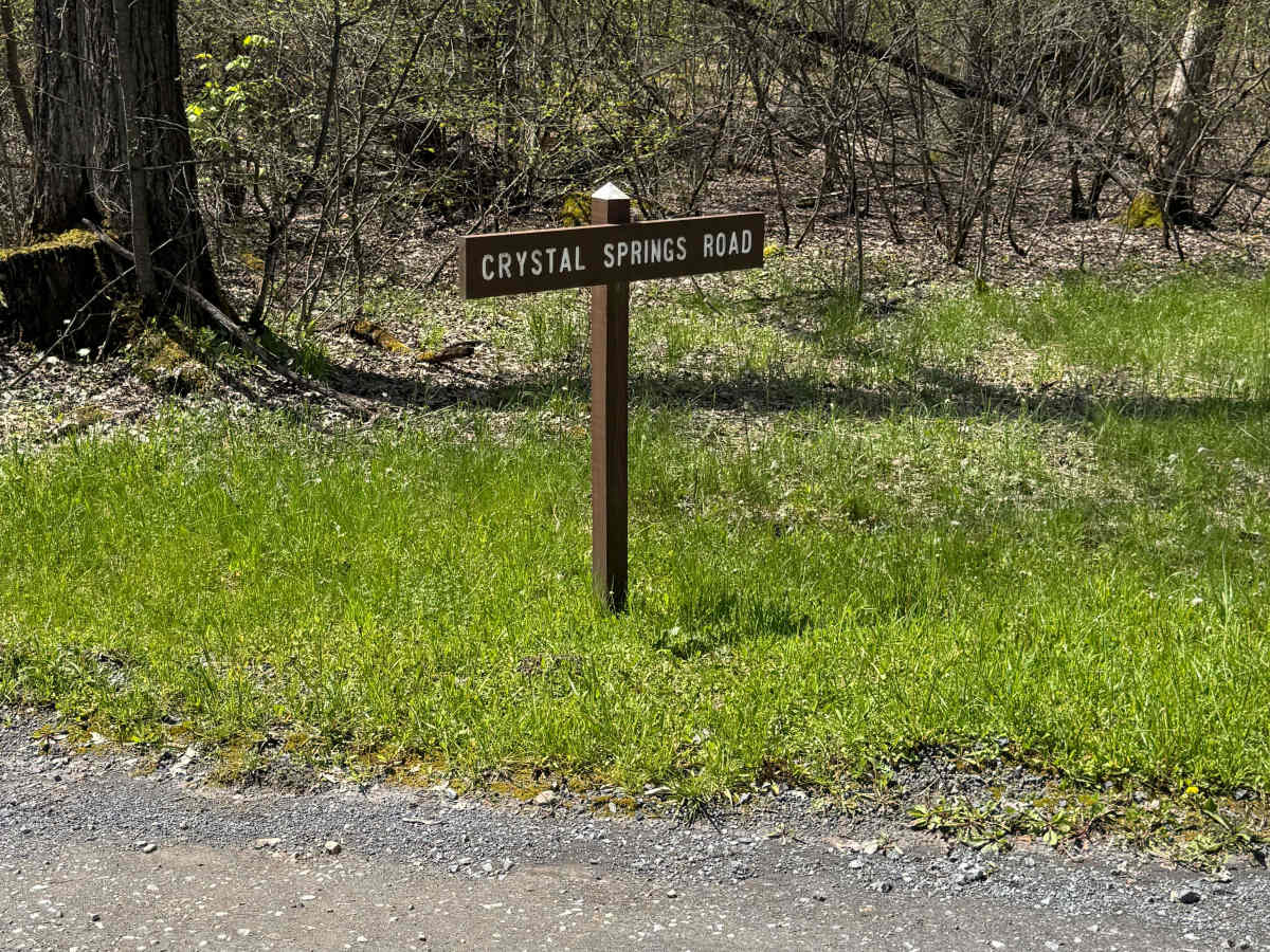 Crystal Springs Road trail photo