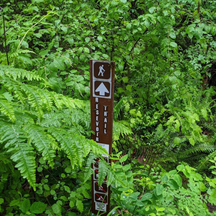Near Reservoir Trail