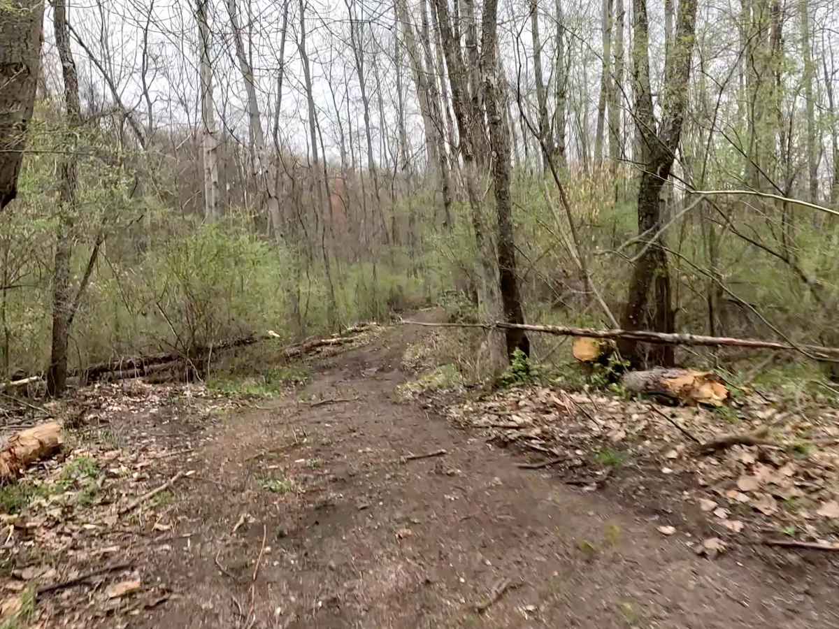 Members Only Trail 60 photo 2