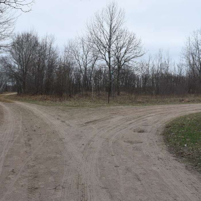 Near Carlos Avery Pool 15 Loop Near Carlos Avery Pool 15 Loop