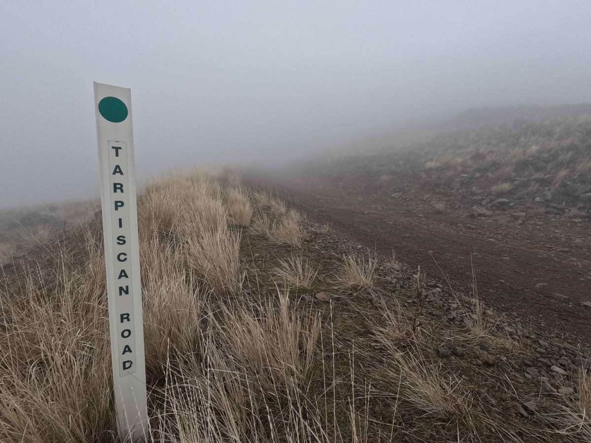 Tarpiscan Road trail photo