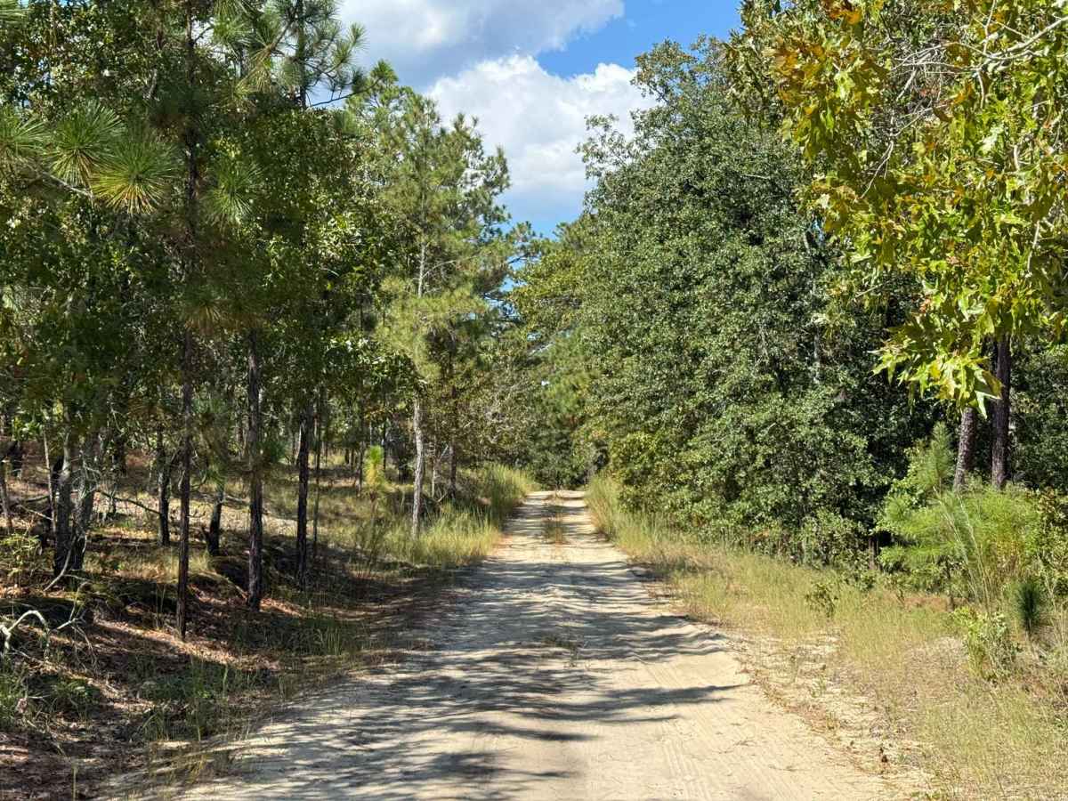 Naked Creek Lane trail photo