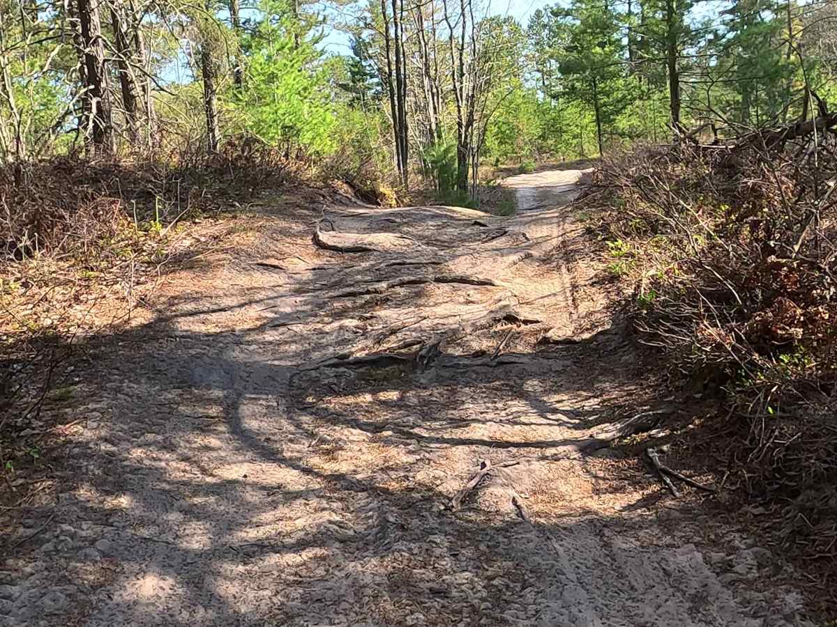West Brenaman Road photo 6