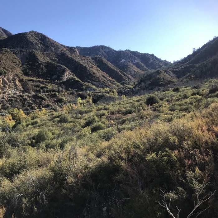 Near Colby Canyon Loop
