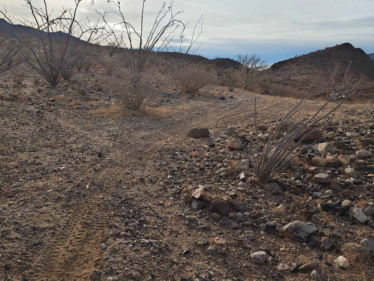 BLA Side Route - Single Track photo 5