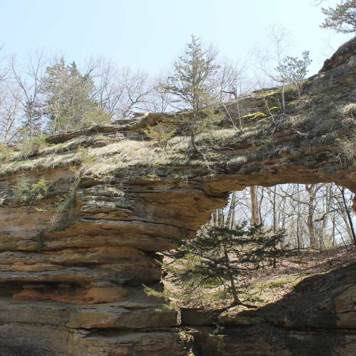Near Natural Bridge State Park Loop